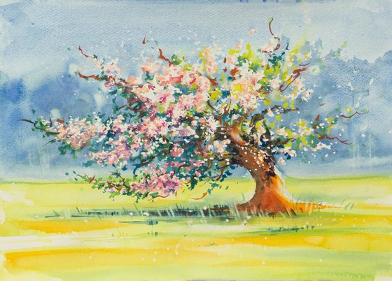 Spring.