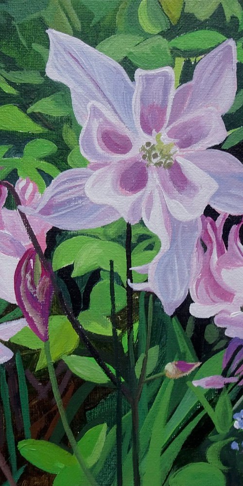 Aquilegia Flowers by Joseph Lynch