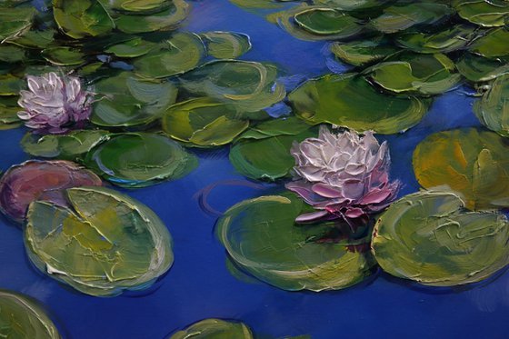 "Water lilies on the water"