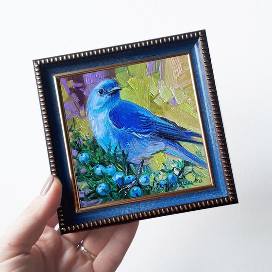 Mountain Bluebird painting original oil art framed 4x4, Blue bird small wall art framed