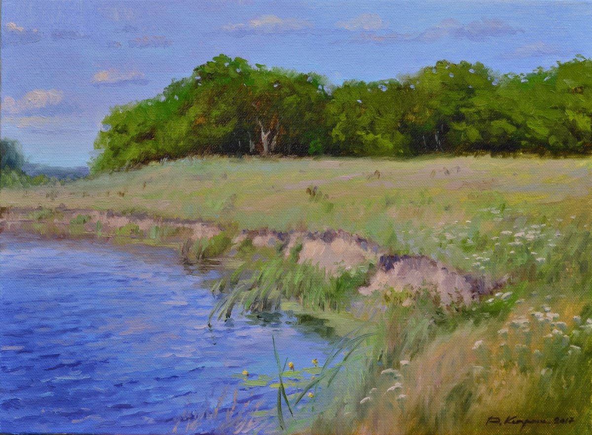 Impressionistic Landscape Oil Painting By Ruslan Kiprych, 16 X 12", On The Steep Bank. Etude, Original Artwork