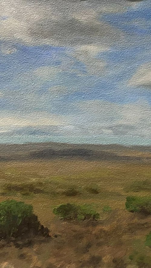 Green plain by Bohdan Vykhrenko