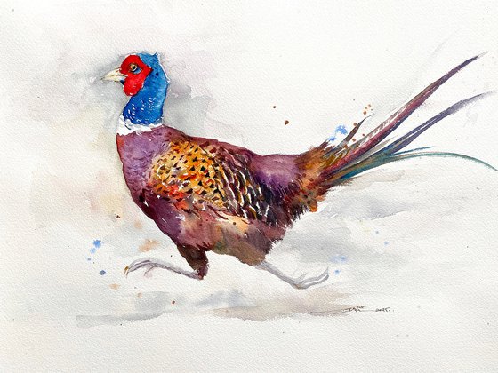 Rustle and Run_Pheasant