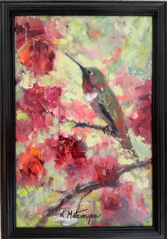 Hummingbird