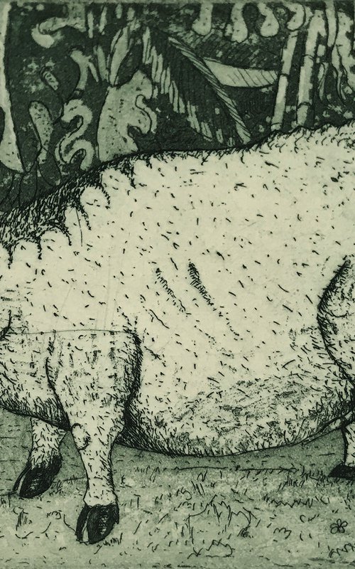 Lessor Snouted Swamp Hog by Graham Cooke
