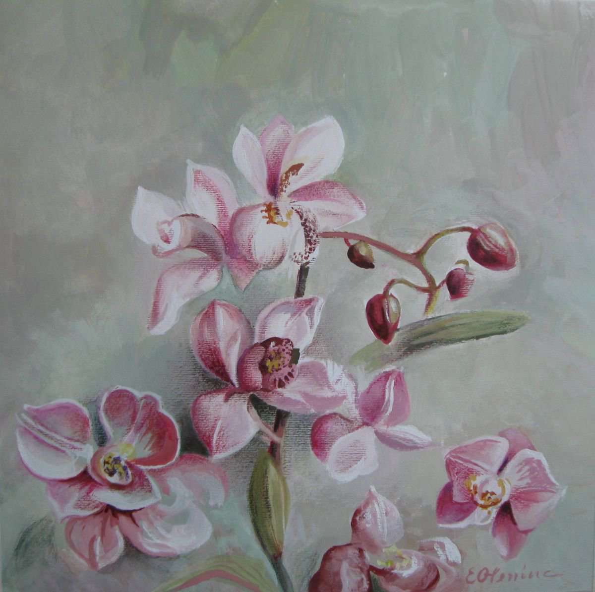 Orchid by Elena Oleniuc