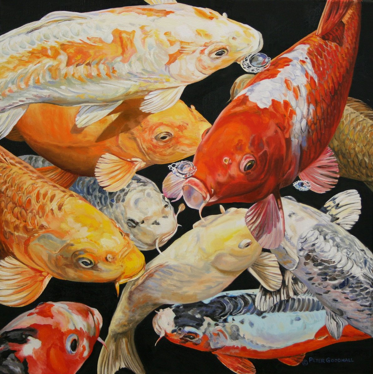 Photorealistic Animal Oil Painting By Peter Goodhall, 16 X 16", Koi Anticipation Xi, Original Artwork
