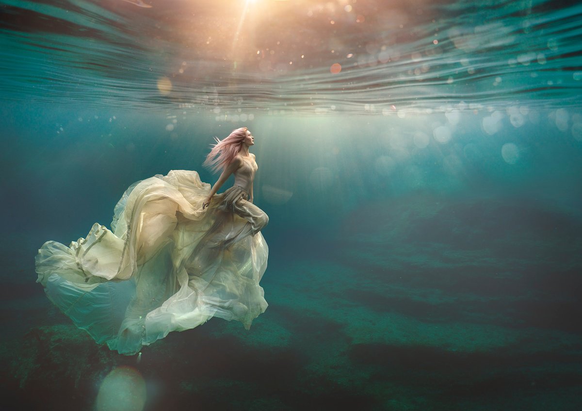 La Reina by Lexi Laine