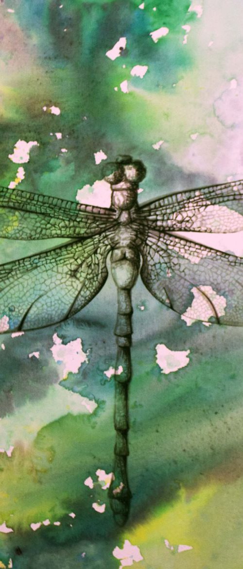 Hawker Dragonfly by Victoria Stothard