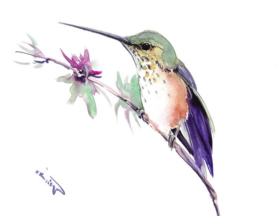 Hummingbird