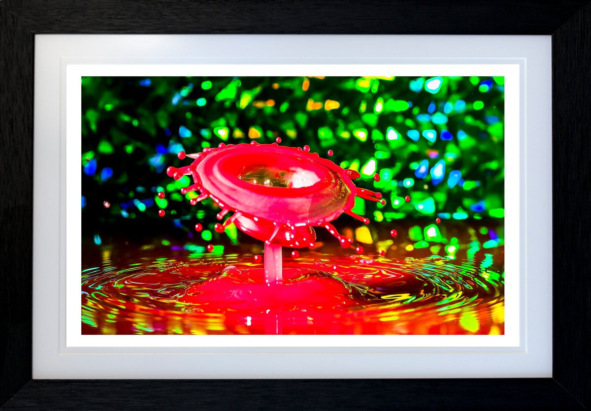 Abstract Photograph ,