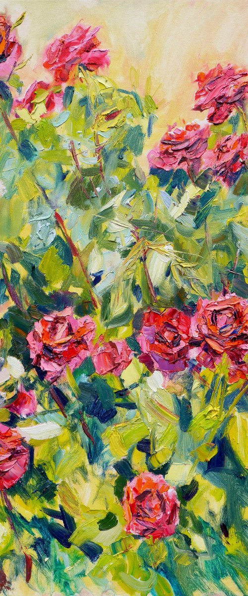 A bush of roses in a garden by Dima Braga