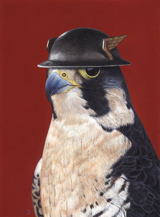 Original pastel drawing bird "Peregrine falcon"