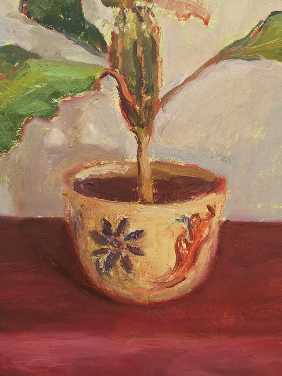A special Plant