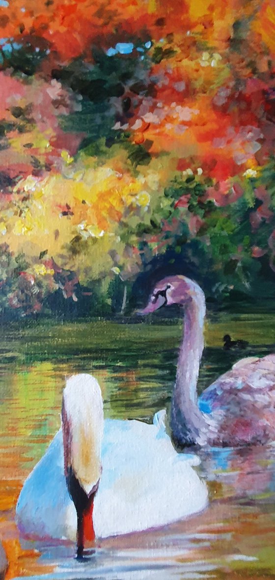 English Garden's swan autumn