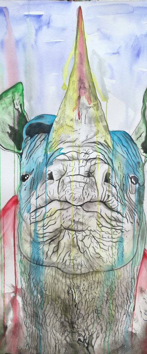 Radiant Rhino by Steven Shaw