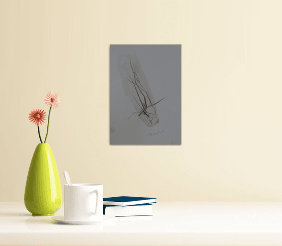 The Bird 25-7