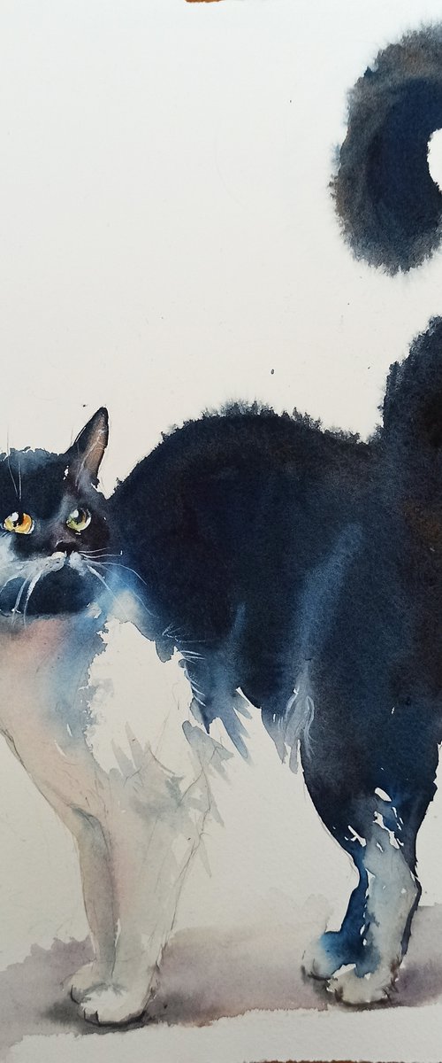 Cat №3 by Irina Bibik-Chkolian