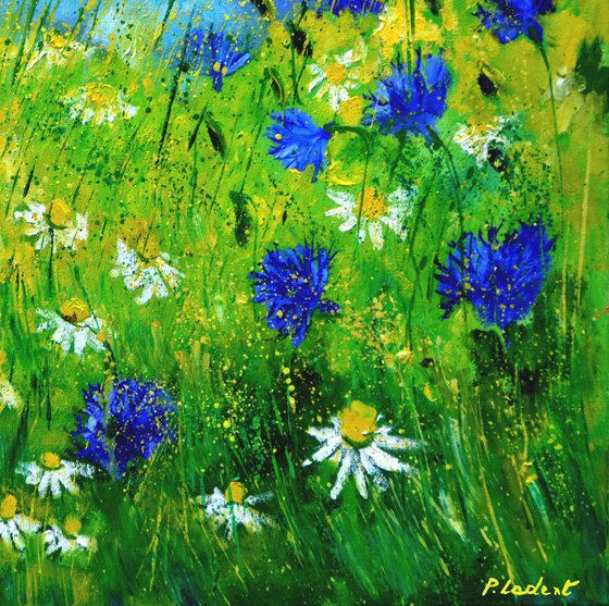 Cornflowers and daisies