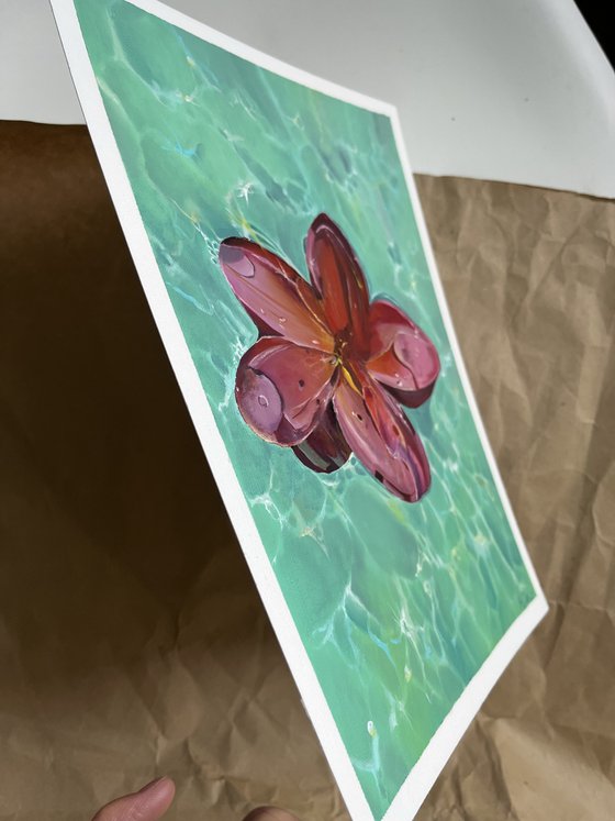 Hibiscus Turquoise Water