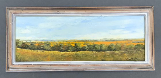 Romney Marsh from Lympne Hill