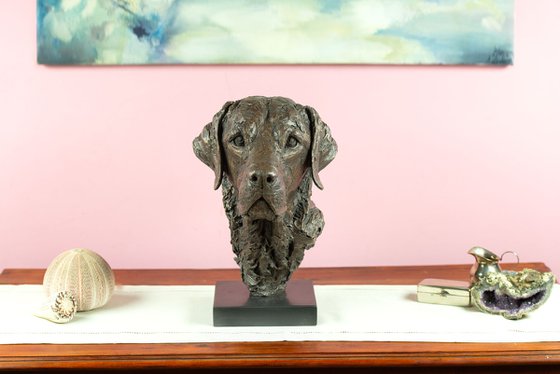 Labrador Portrait 3 BR