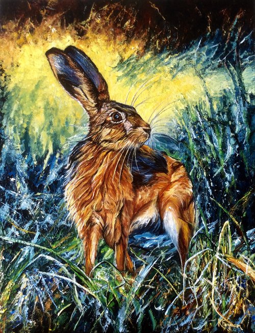 Magical Hare by Kate Ferguson
