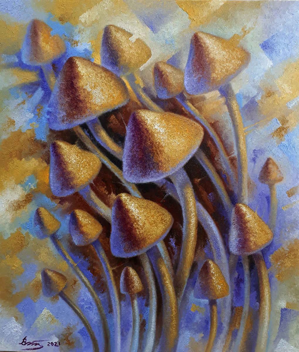 Mushrooms by Serhii Voichenko