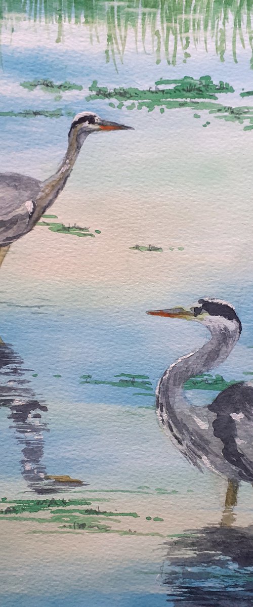 Two Herons by Lisa Mann