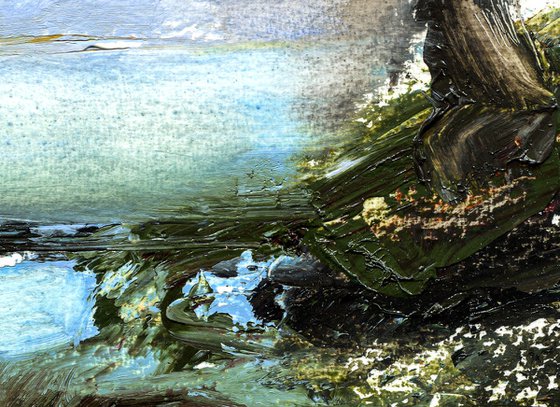 THE LOST POND