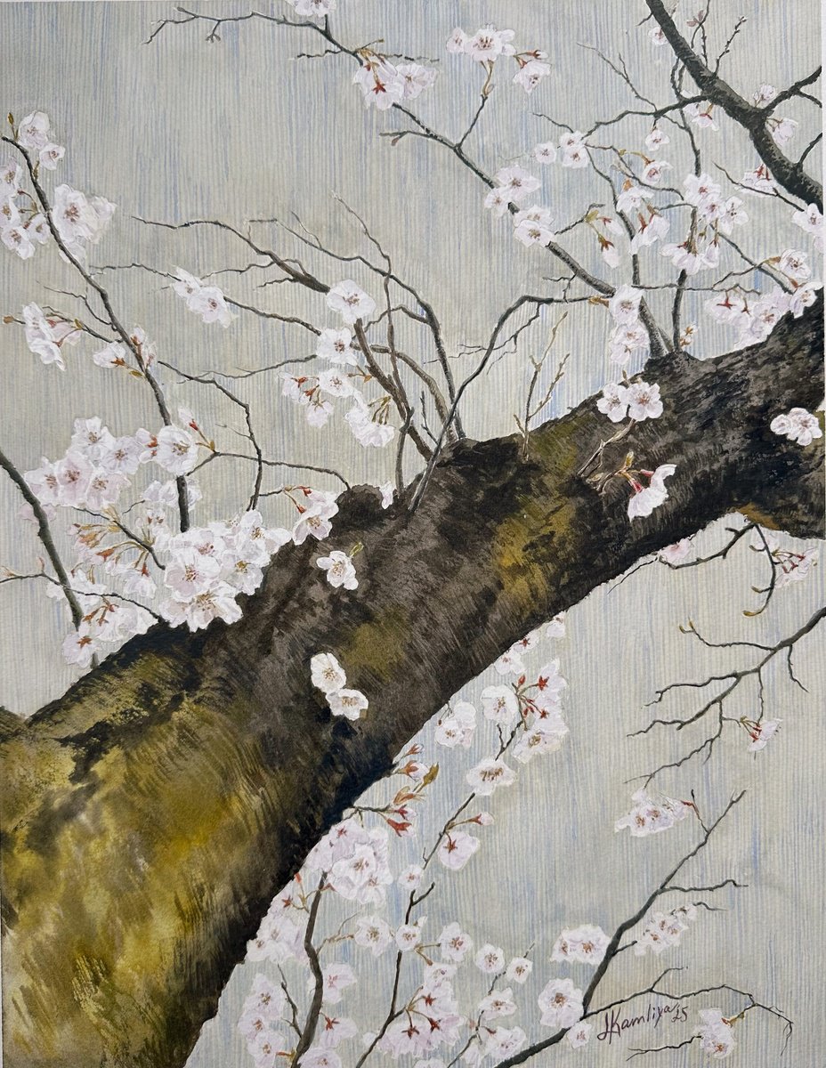 Impressionistic Watercolour , Cherry Blossom By Leyla Kamliya, 12 X 16, Artwork For Sale On Artfinder