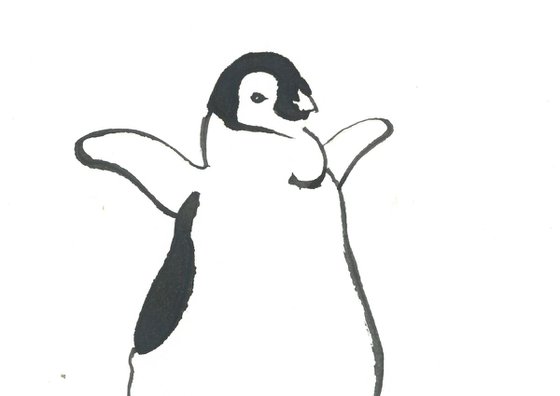 Penguin I Animal Drawing
