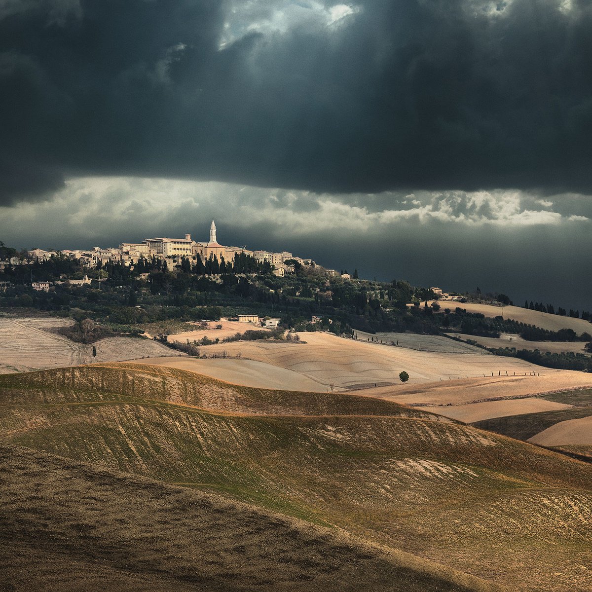 Light and Dark in Tuscany by Peter Zelei