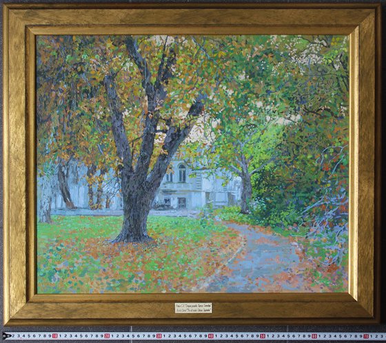 The old estate. Odessa