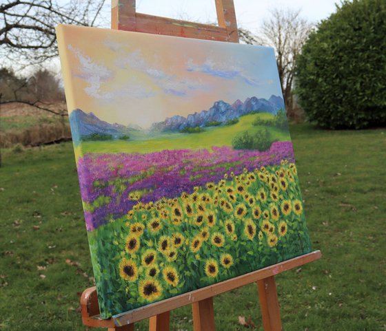 Sunflowers and lavender field