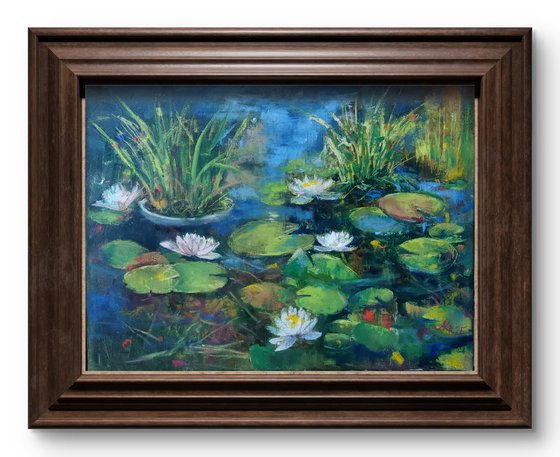 Water Lilies pond