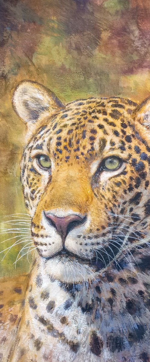 Jaguar by Gabriel Hermida