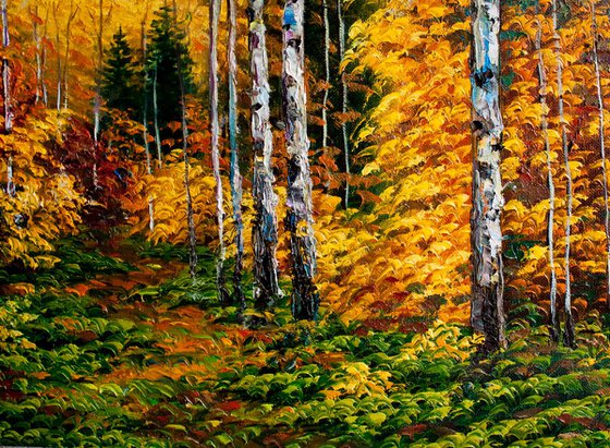 Birches in the autumn forest