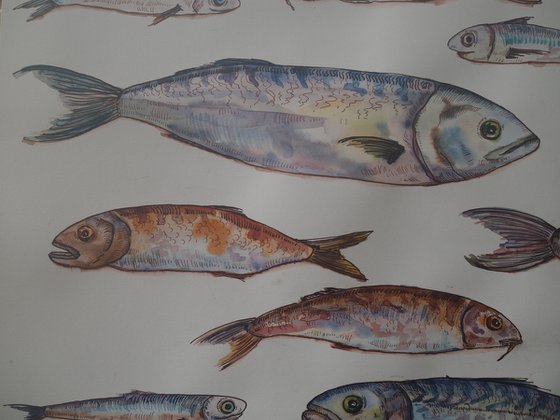 Set of fish - original seafood watercolor paintink and ink graphic