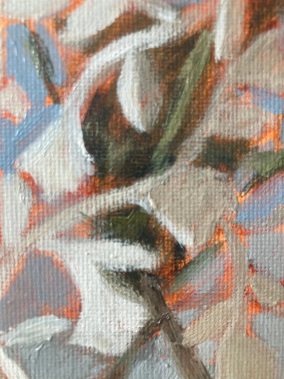 Ellipsis of Summer