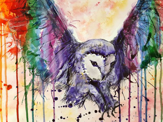 "Rainbow owl"