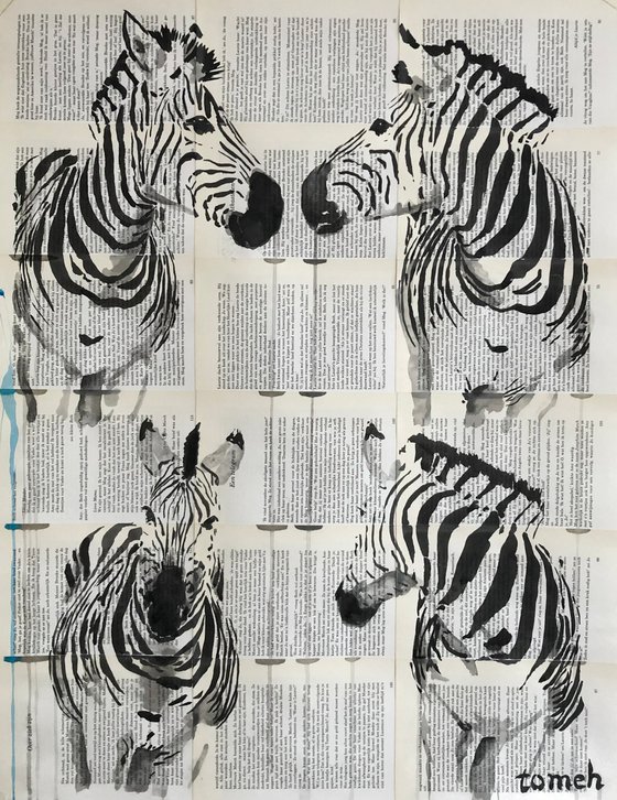 zebra Heads