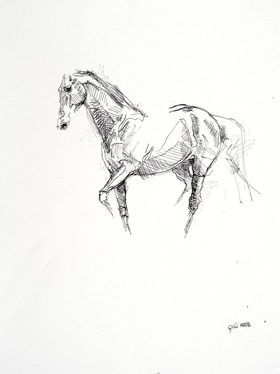 Equine Nude 28a