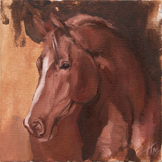 Equine Head Arab Chestnut (study 31)