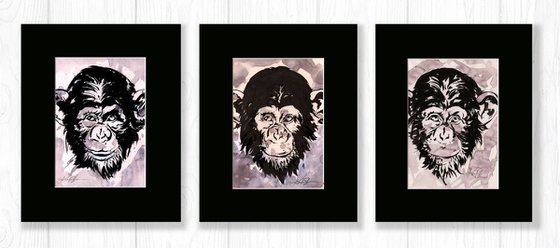 Chimpanzee Collection