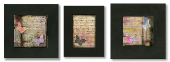 Butterfly Medley Collection 3
