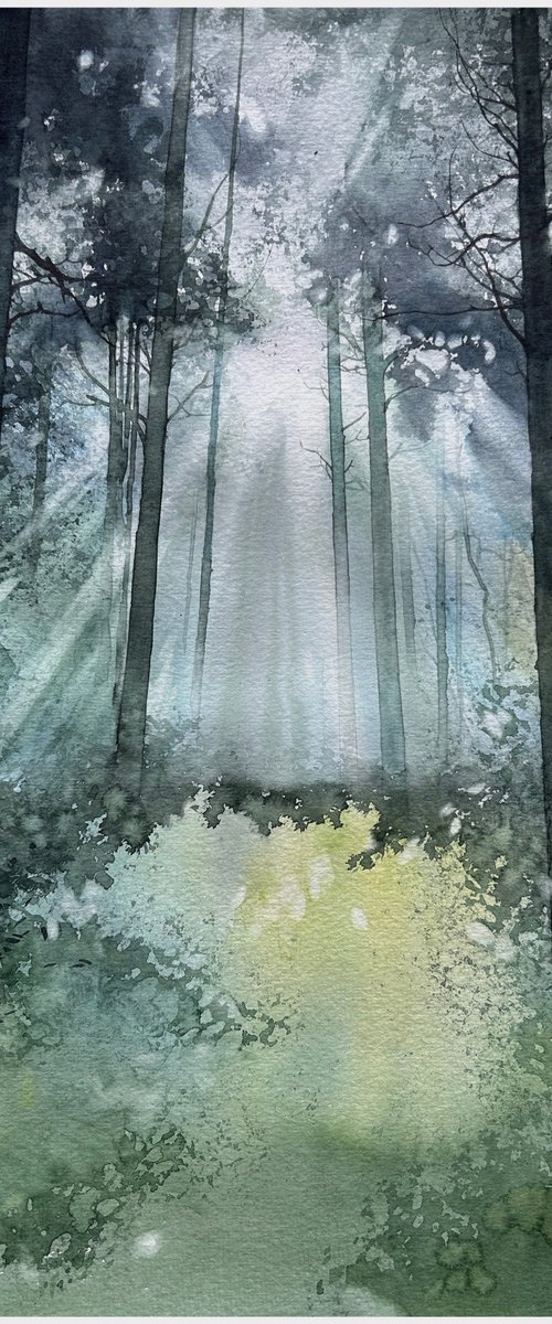 Silent Forest Light by Nazar Grunyka