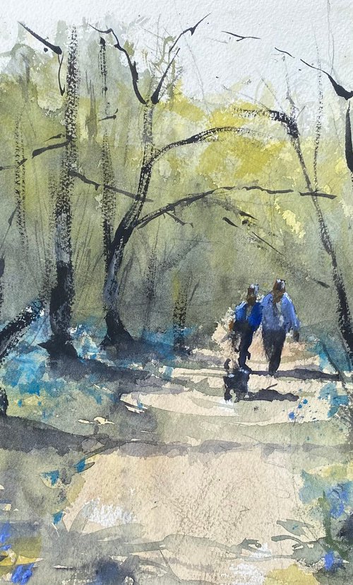 Bluebell woodland… by Paul Mitchell
