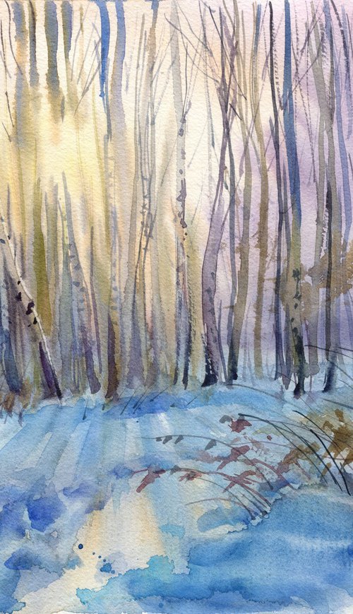 Winter Forest at Sunset by SVITLANA LAGUTINA