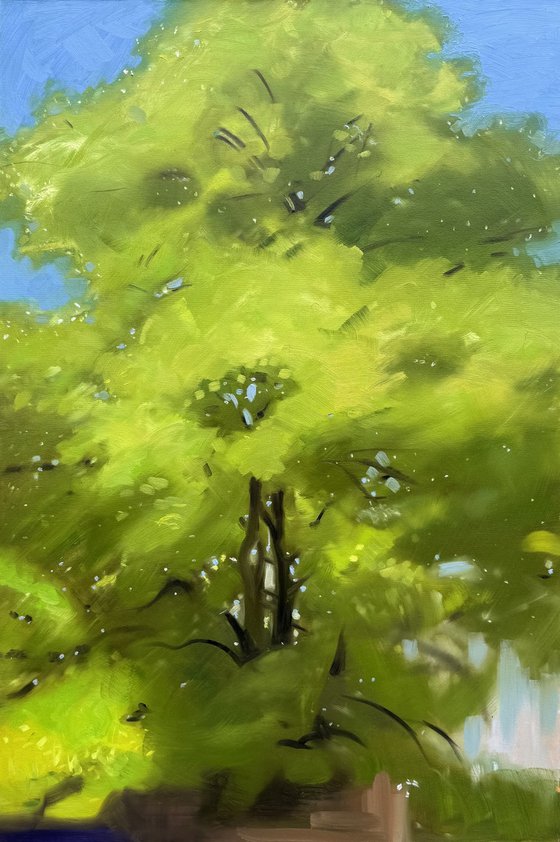 Tivoli Tree